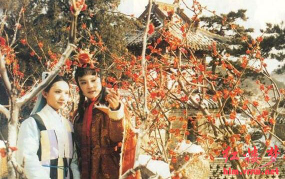 妙玉的判词《世难容》注解